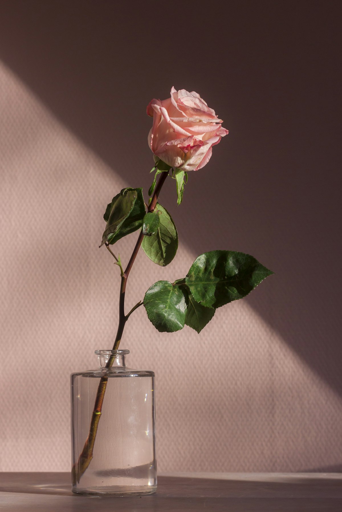 The Bud Vase